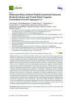Molecular basis of root nodule symbiosis between Bradyrhizobium and ‘Crack-Entry’ legume groundnut (Arachis hypogaea L.)