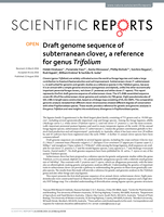 Draft genome sequence of subterranean clover, a reference for genus Trifolium