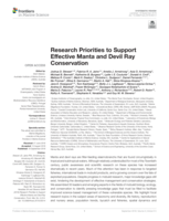 Research priorities to support effective manta and devil ray conservation