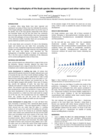 Fungal endophytes of the Boab species Adansonia gregorri and other native tree species