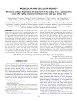 Structure and age-dependant development of the turkey liver: A comparative study on a highly selected and a wild-type turkey line