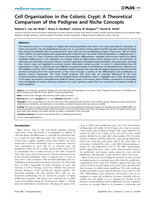 Cell organisation in the colonic crypt: A theoretical comparison of the pedigree and niche concepts