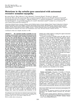 Mutations in the nebulin gene associated with autosomal recessive nemaline myopathy