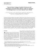 Natural bone collagen scaffold combined with autologous enriched bone marrow cells for induction of osteogenesis in an ovine spinal fusion model