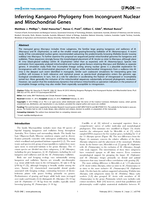 Inferring kangaroo phylogeny from incongruent nuclear and mitochondrial genes