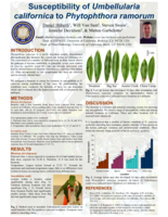 Susceptibility of Umbellularia californica to Phytophthora ramorum