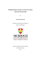Pathophysiological responses in chronic liver injury induced by thioacetamide
