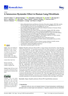 A senescence bystander effect in human lung fibroblasts
