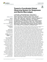 Toward a coordinated global observing system for seagrasses and marine macroalgae