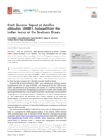 Draft Genome Report of Bacillus altitudinis SORB11, Isolated from the Indian Sector of the Southern Ocean