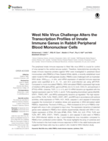 West Nile Virus challenge alters the transcription profiles of innate immune genes in rabbit peripheral blood mononuclear cells