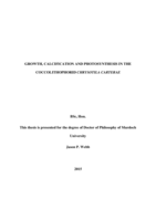 Growth, calcification and photosynthesis in the coccolithophorid chrysotila carterae