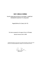 Why circus works: how the values and structures of circus make it a significant developmental experience for young people