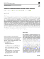 Evidence of male alliance formation in a small dolphin community