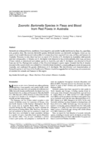Zoonotic bartonella species in fleas and blood from red foxes in Australia
