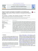 Impact of cyclones and aquatic macrophytes on recruitment and landings of tiger prawns Penaeus esculentus in Exmouth Gulf, Western Australia