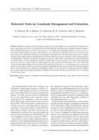 Molecular tools for genebank management and evaluation