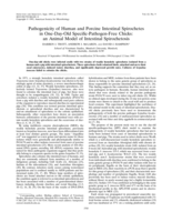 Pathogenicity of human and porcine intestinal spirochetes in one-day-old specific-pathogen-free chicks: an animal model of intestinal spirochetosis