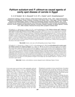 Pythium sulcatum and P. ultimum as causal agents of cavity spot disease of carrots in Egypt