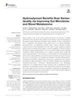 Hydroxytyrosol Benefits Boar Semen Quality via Improving Gut Microbiota and Blood Metabolome