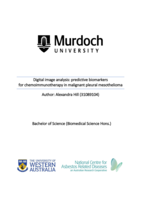 Digital image analysis: Predictive biomarkersfor chemoimmunotherapy in malignant pleural mesothelioma