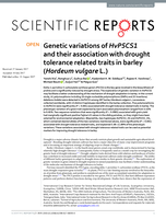 Genetic variations of HvP5CS1 and their association with drought tolerance related traits in barley (Hordeum vulgare L.)