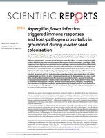 Aspergillus flavus infection triggered immune responses and host-pathogen cross-talks in groundnut during in-vitro seed colonization
