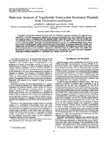 Molecular analysis of transferable tetracycline resistance plasmids from Clostridium perfringens