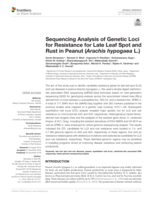Sequencing analysis of genetic loci for resistance for late leaf spot and rust in peanut (Arachis hypogaea L.)