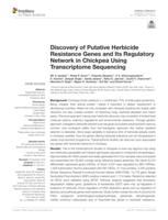 Discovery of putative herbicide resistance genes and its regulatory network in chickpea using transcriptome sequencing