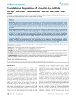 Translational Regulation of Utrophin by miRNAs