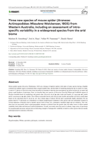Three new species of mouse spider (Araneae: Actinopodidae: Missulena Walckenaer, 1805) from Western Australia, including an assessment of intraspecific variability in a widespread species from the arid biome