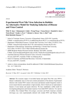 Experimental West Nile Virus Infection in Rabbits: An Alternative Model for Studying Induction of Disease and Virus Control