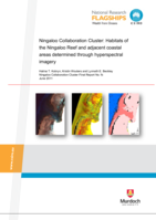 Ningaloo Collaboration Cluster: Habitats of the Ningaloo Reef and adjacent coastal areas determined through hyperspectral imagery