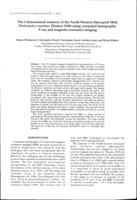 The 3-dimensional anatomy of the North-Western Marsupial Mole (Notoryctes caurinus Thomas 1920) using computed tomography, X-ray and magnetic resonance imaging