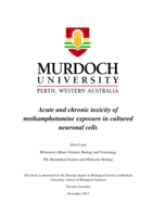 Acute and chronic toxicity of methamphetamine exposure in cultured neuronal cells