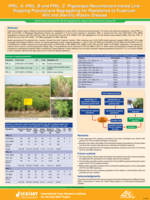 PRIL_A, PRIL_B and PRIL_C: Pigeonpea Recombinant Inbred Line Mapping Populations Segregating for Resistance to Fusarium Wilt and Sterility Mosaic Disease