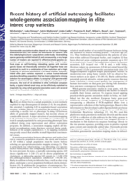 Recent history of artificial outcrossing facilitates whole-genome association mapping in elite inbred crop varieties
