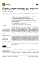Carbon and nitrogen mineralization in dark grey calcareous floodplain soil is influenced by tillage practices and residue retention