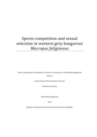 Sperm competition and sexual selection in western grey kangaroos Macropus fuliginosus