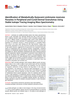 Identification of metabolically quiescent Leishmania mexicana parasites in peripheral and cured dermal granulomas using stable isotope tracing imaging mass spectrometry