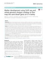 Marker development using SLAF-seq and whole-genome shotgun strategy to fine-map the semi-dwarf gene ari-e in barley