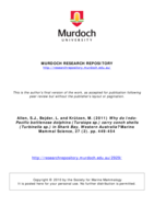 Why do Indo-Pacific bottlenose dolphins (Tursiops sp.) carry conch shells (Turbinella sp.) in Shark Bay, Western Australia?