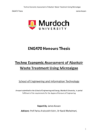 Techno economic assessment of abattoir waste treatment using microalgae