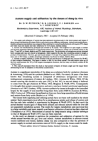 Acetate supply and utilization by the tissues of sheep in vivo