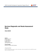 Services diagnostic and needs assessment study