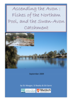 Ascending the Avon: fishes of the Northam Pool, and the Swan-Avon catchment