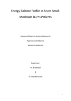 Energy balance profile in acute small-moderate burns patients