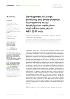 Development of a high-sensitivity and short-duration fluorescence in situ hybridization method for viral mRNA detection in HEK 293T cells