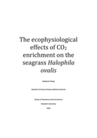 The ecophysiological effects of CO2 enrichment on the seagrass Halophila ovalis